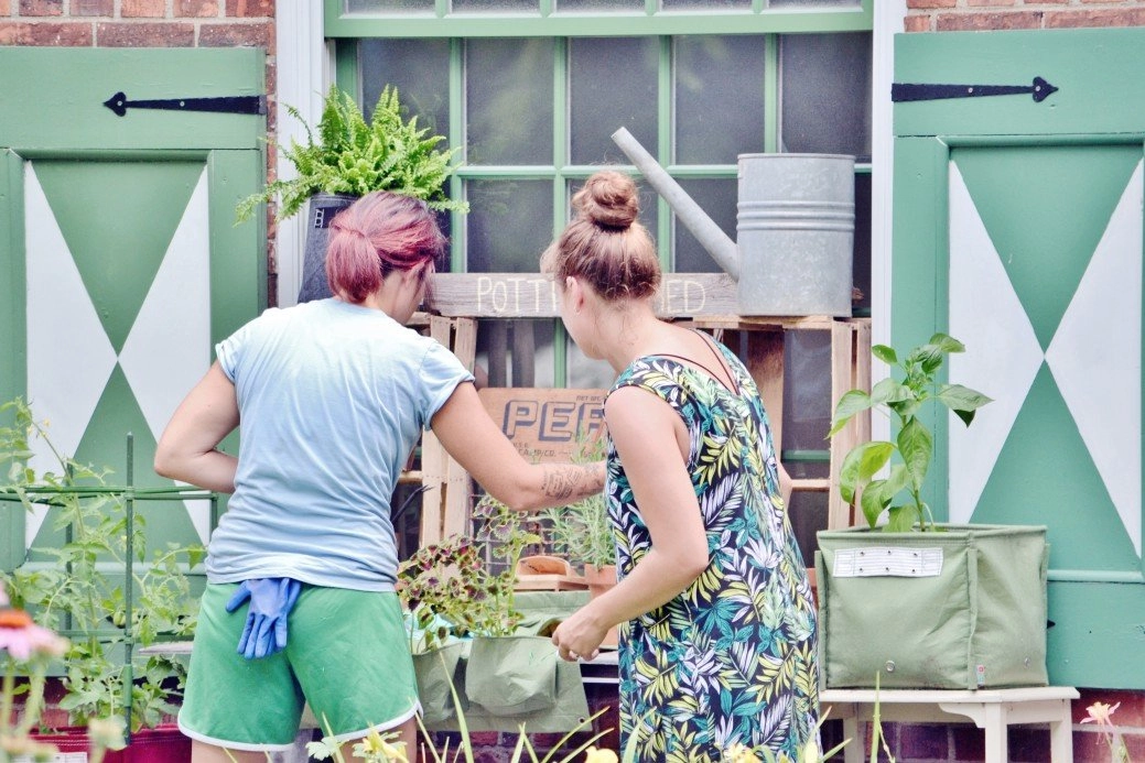 The Easy and Simple Gardening Tips for a Beginner