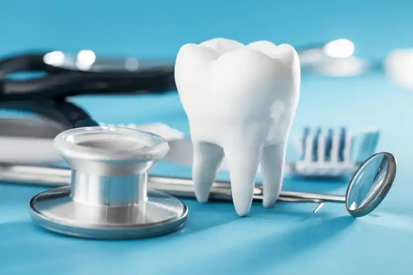  Dental Care Services and Plans