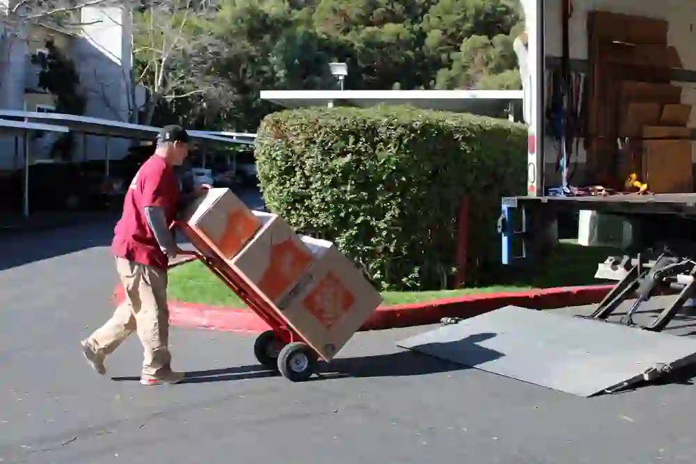 Movers San Marcos TX