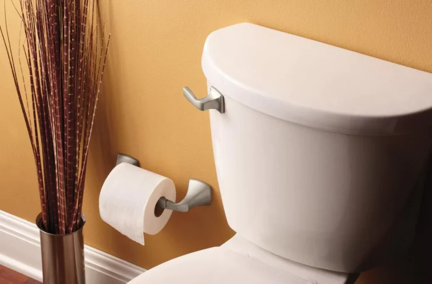  More Details of Standard Height for Toilet Paper Holder