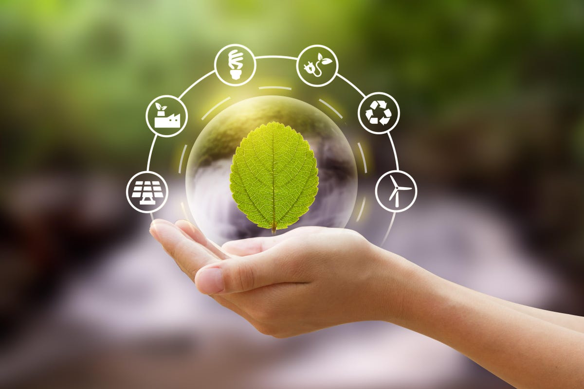 Ways to Dispose Waste Responsibly; Fighting Climate Change Consciously