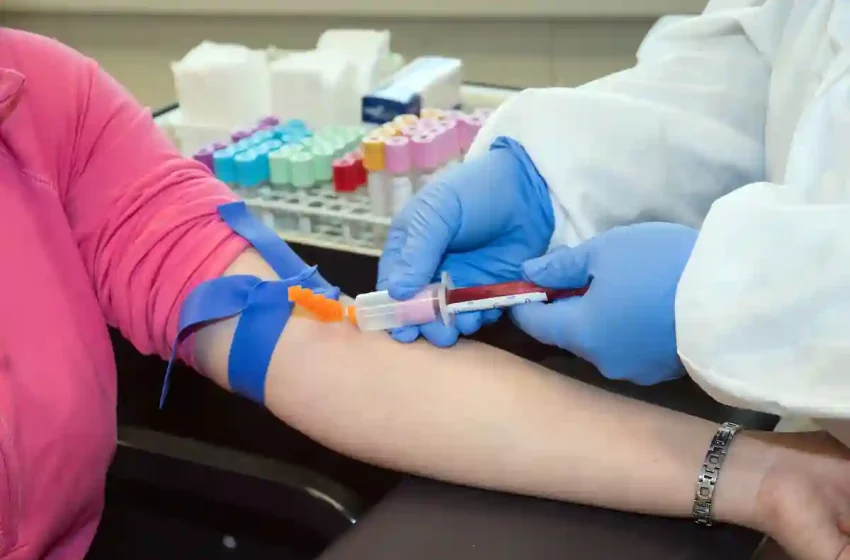  How to Obtain Phlebotomy Training