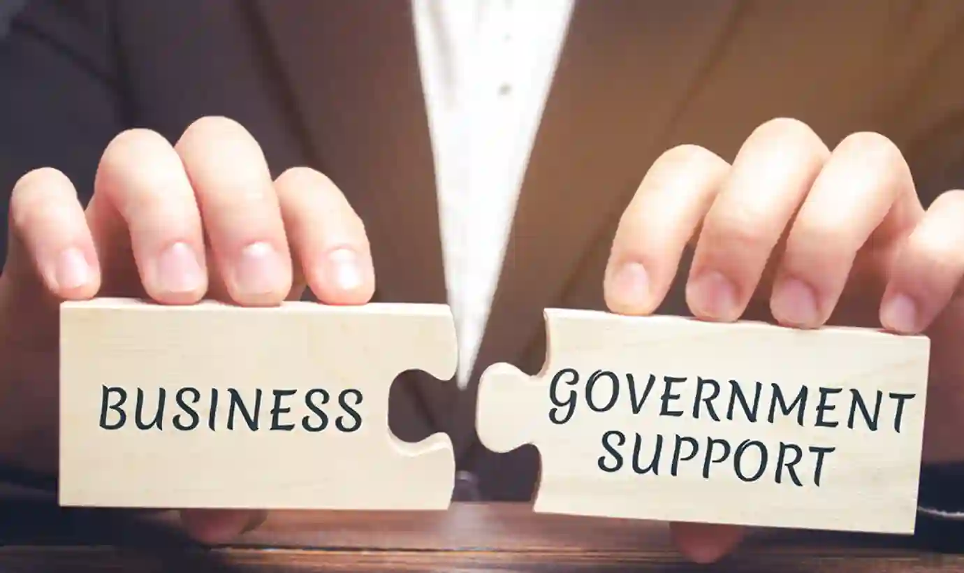 Government Backed Loans