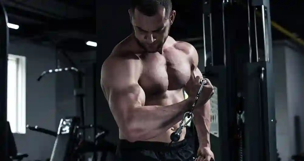 Bodyweight Exercises for Muscle Gain: Can You Really Build Mass Without Weights